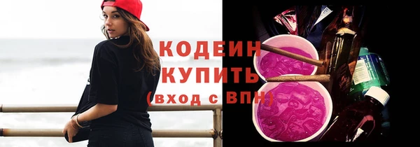 сатива Туринск