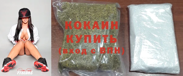 PSILOCYBIN Богданович