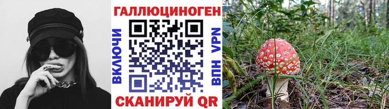 Галлюциногенные грибы Psilocybine cubensis  Купить  Петров Вал 